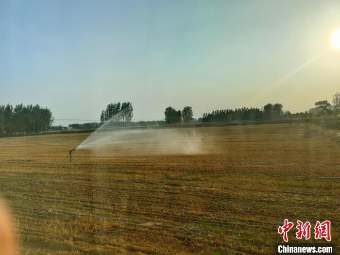 图为河南扶沟高县标准农田的灌溉设备正在浇水。　杨大勇 摄