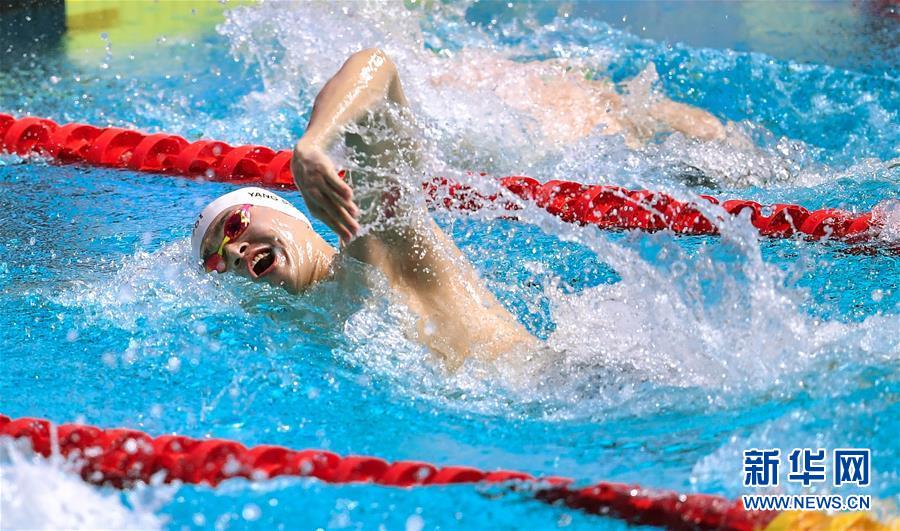 （游泳世锦赛）（11）游泳——男子200米自由泳：孙杨夺冠