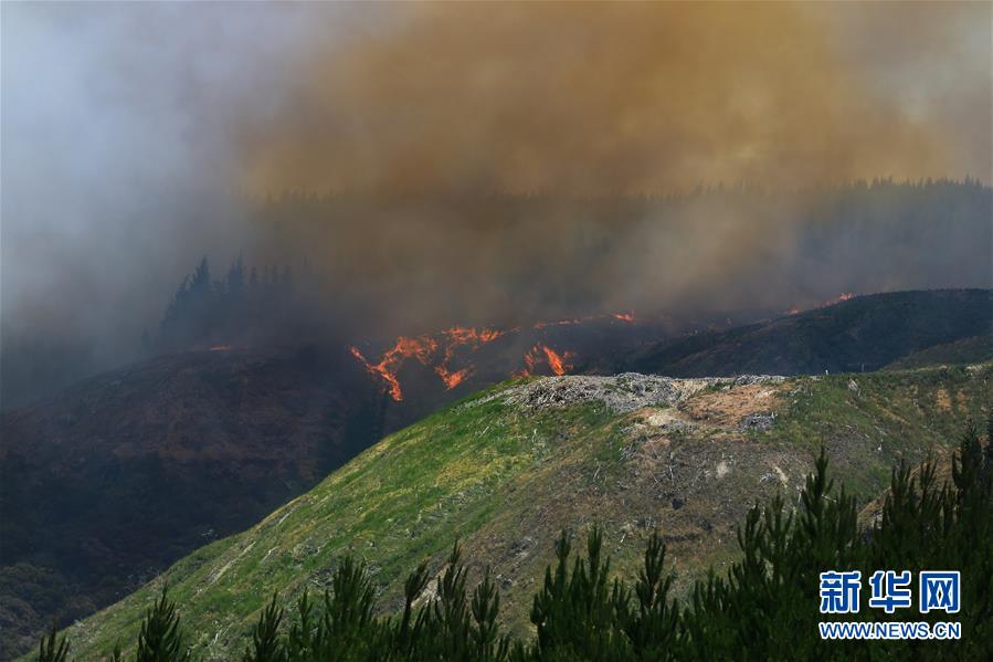 （国际）（3）新西兰北岛突发森林大火